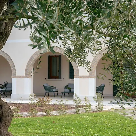 Cattarin * San Cipriano (Treviso)